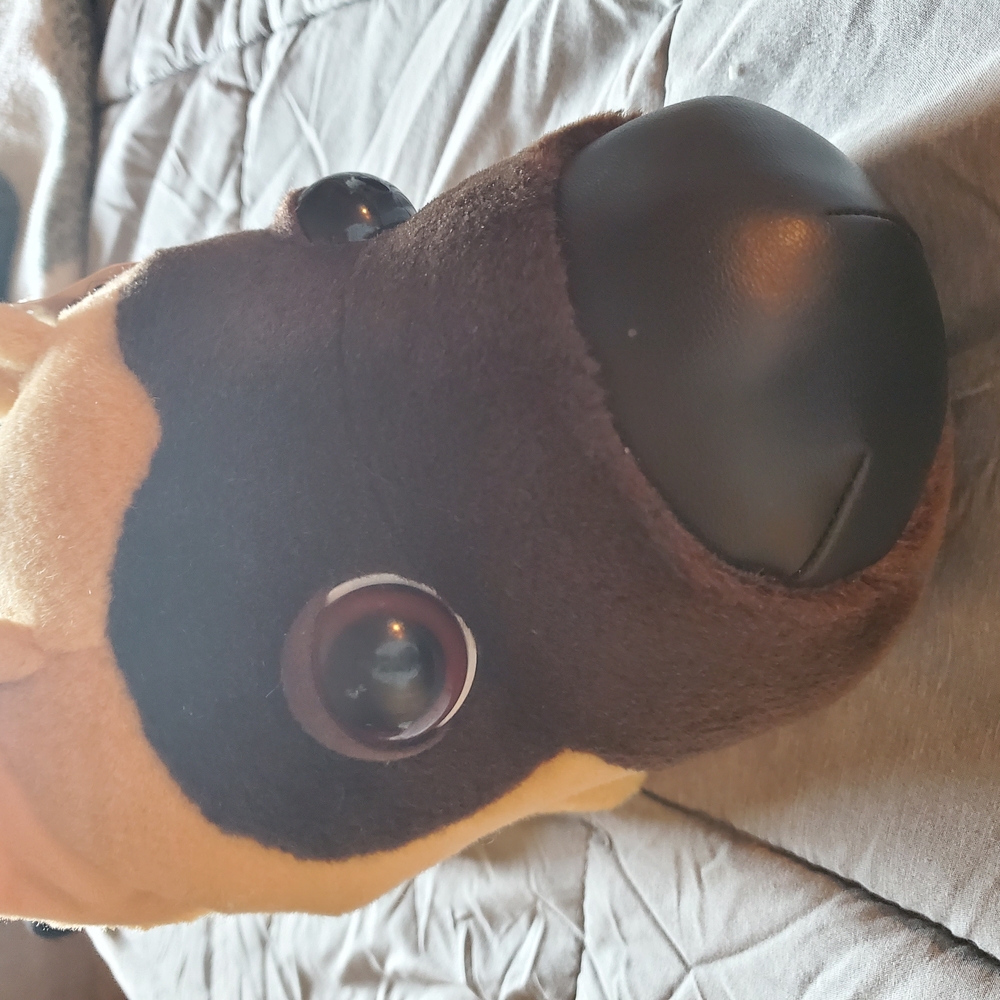 "The Dog"-German Shepherd